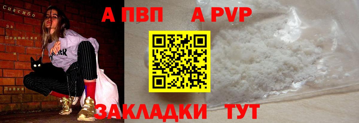A PVP СК КРИС Дятьково