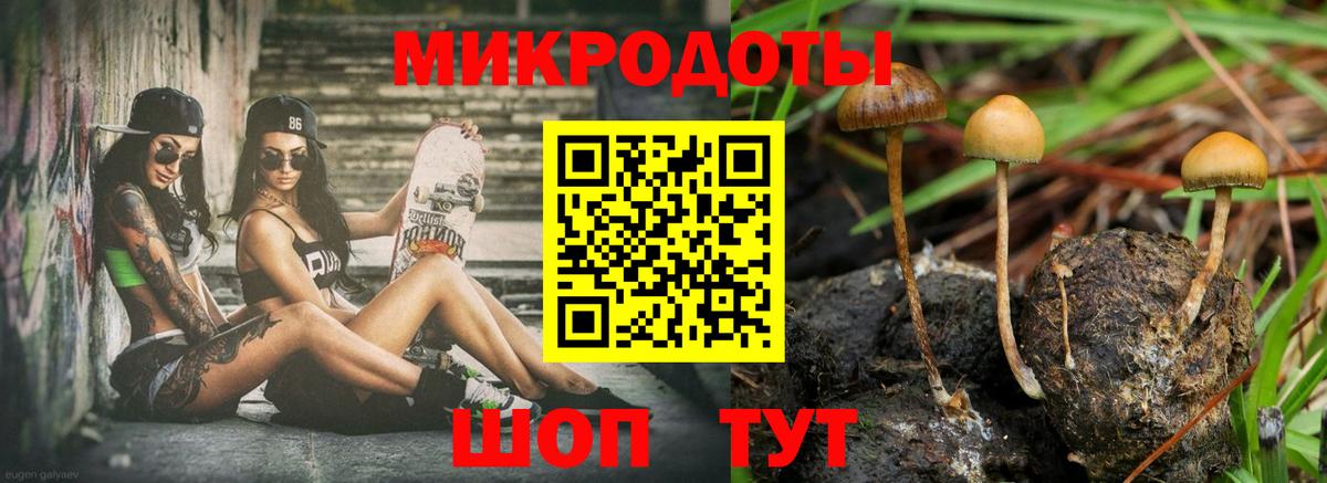 Галлюциногенные грибы Psilocybine cubensis  Вход с VPN  Дятьково 